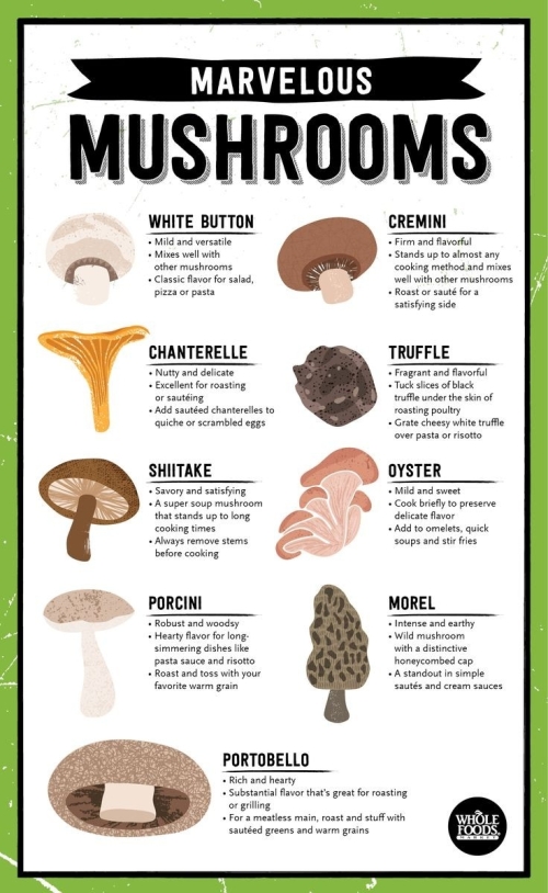 Cookbook: edible mushrooms 