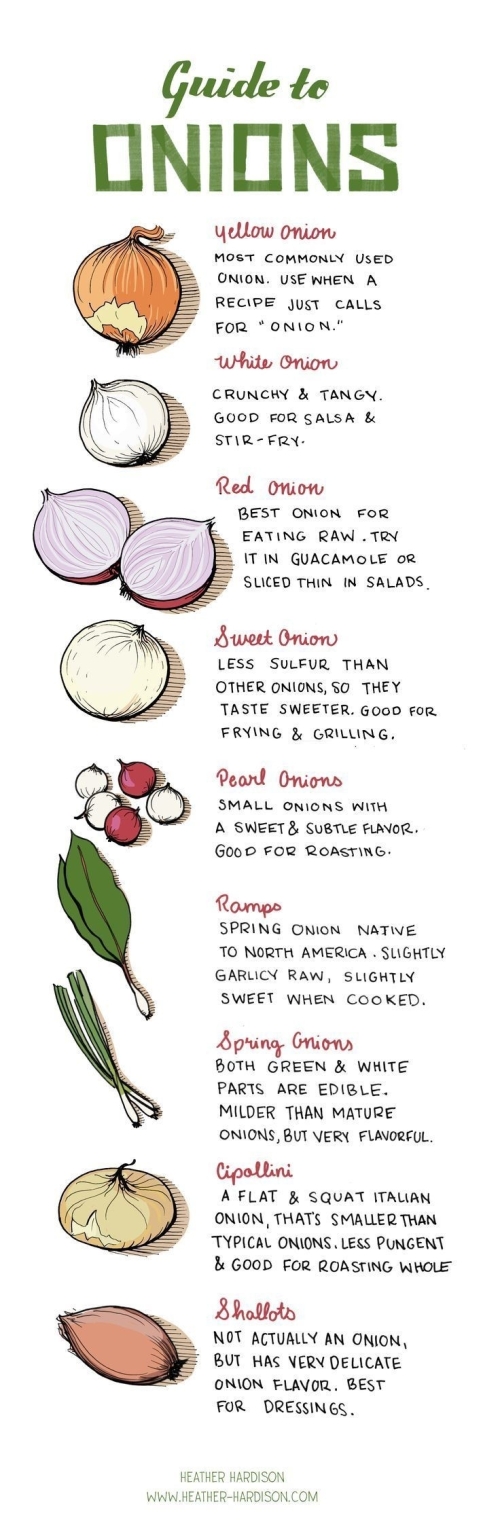 Cookbook: Guide to onions